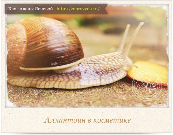 Аллантоин в косметике