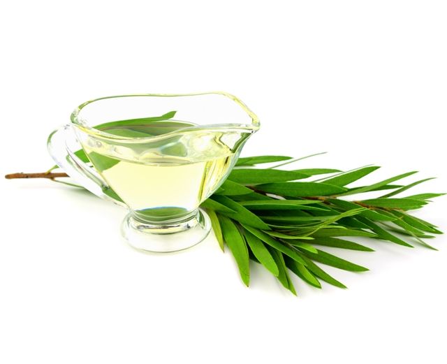 Масло чайного дерева от бородавок